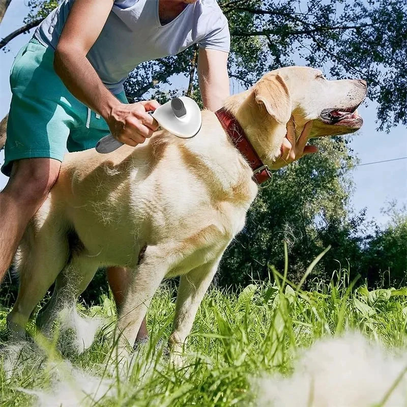 Brosse pour chiens et chats, peigne autonettoyant, brosse démêlante, accessoires de toilettage pour chiens et chats