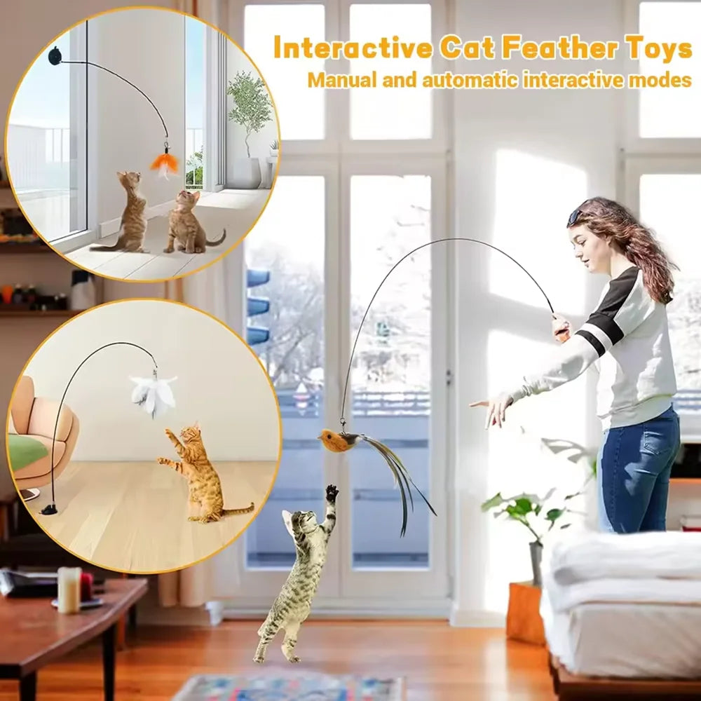 Jouet Chat Interactif avec Plume & Clochette – Canne à Pêche Ventouse Ultra Résistante