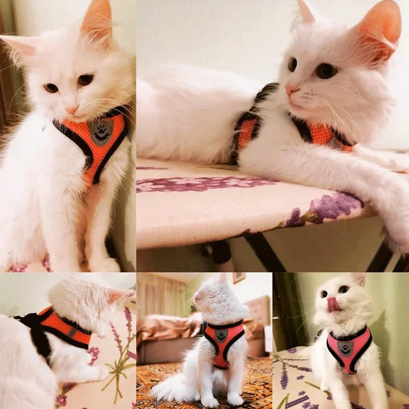 Harnais pour chat, laisse de promenade pour chiots, collier en polyester réglable en maille, accessoires pour animaux de petite et moyenne taille