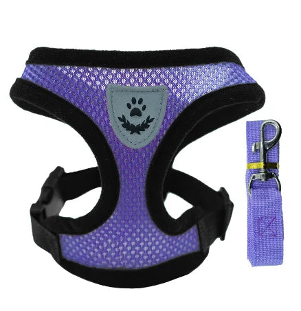 Harnais pour chat, laisse de promenade pour chiots, collier en polyester réglable en maille, accessoires pour animaux de petite et moyenne taille