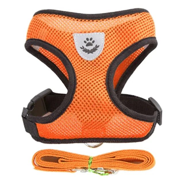 Harnais pour chat, laisse de promenade pour chiots, collier en polyester réglable en maille, accessoires pour animaux de petite et moyenne taille