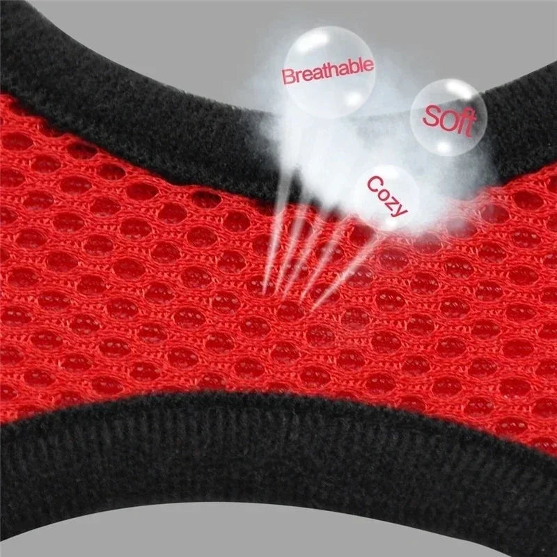 Harnais pour chat, laisse de promenade pour chiots, collier en polyester réglable en maille, accessoires pour animaux de petite et moyenne taille
