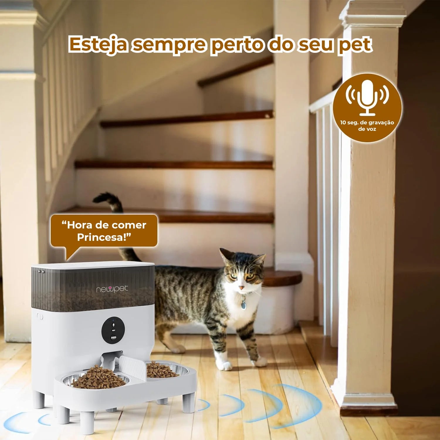 Distributeur automatique de nourriture avec application & Wi-Fi