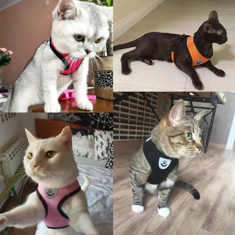 Harnais pour chat, laisse de promenade pour chiots, collier en polyester réglable en maille, accessoires pour animaux de petite et moyenne taille