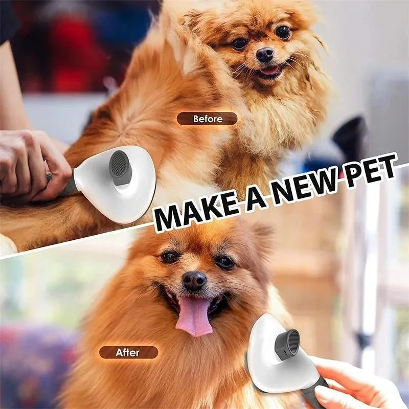 Brosse pour chiens et chats, peigne autonettoyant, brosse démêlante, accessoires de toilettage pour chiens et chats