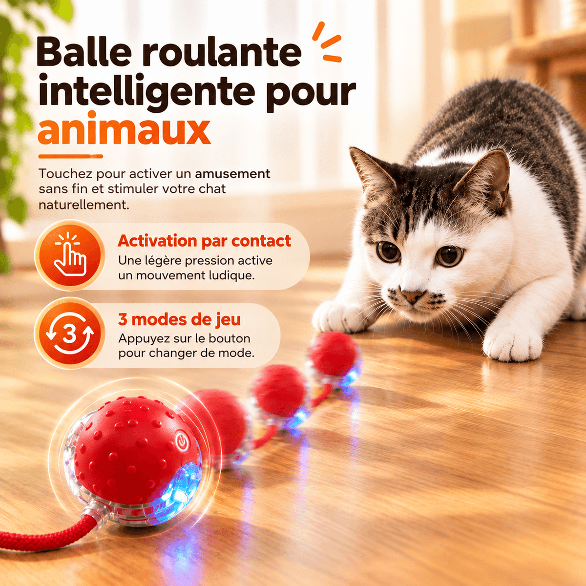 CatMove | Le jeu qui occupe votre chat, même quand vous êtes absent.