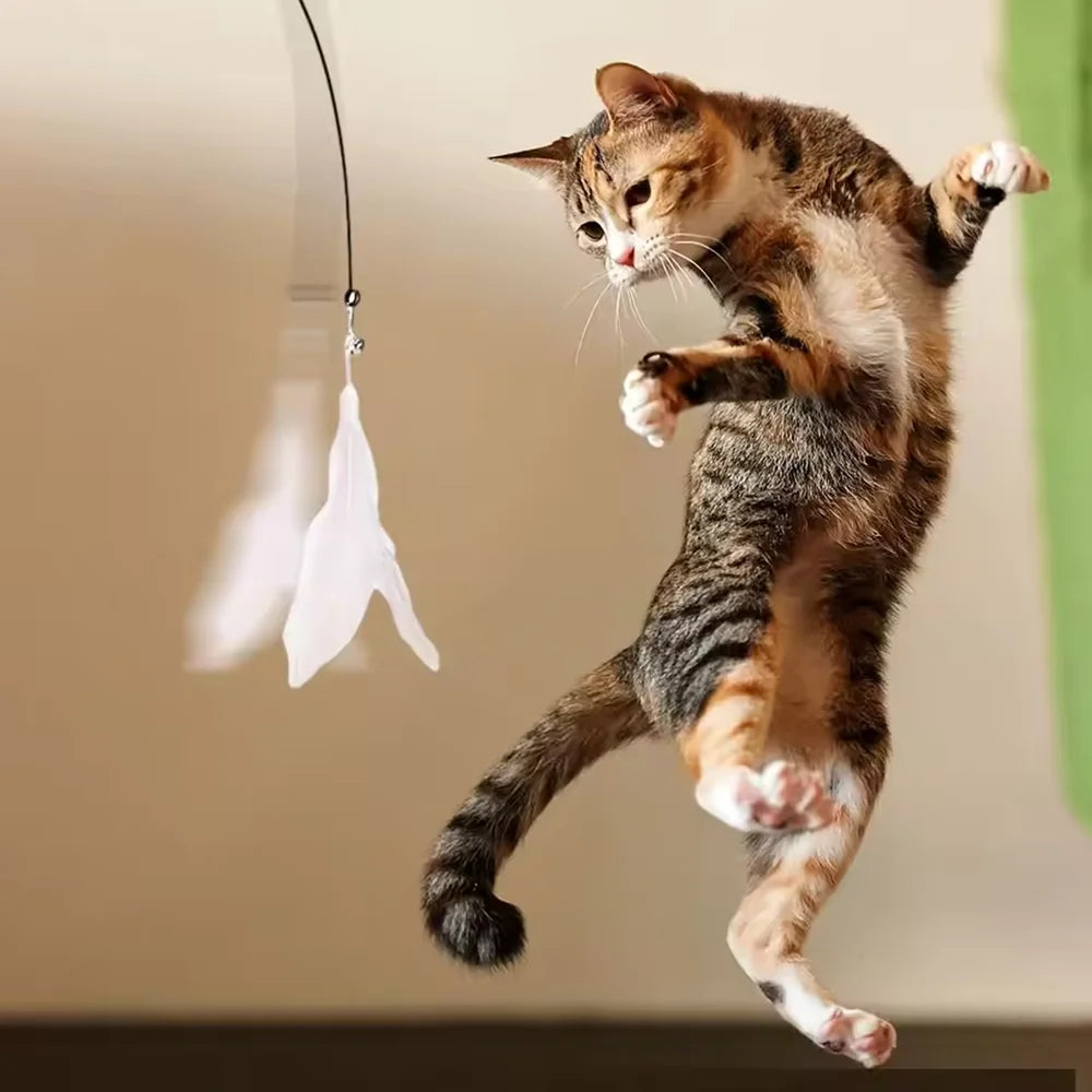 Jouet Chat Interactif avec Plume & Clochette – Canne à Pêche Ventouse Ultra Résistante