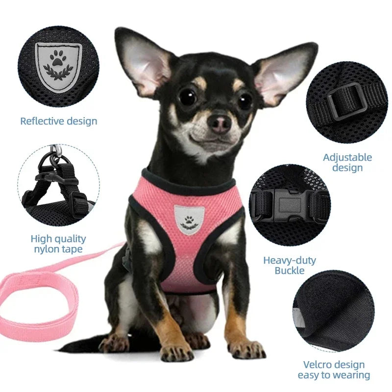 Harnais pour chat, laisse de promenade pour chiots, collier en polyester réglable en maille, accessoires pour animaux de petite et moyenne taille