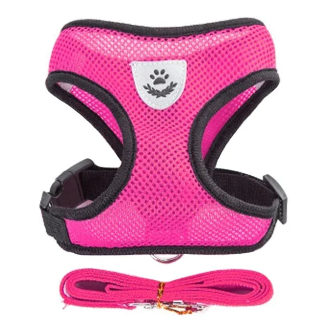Harnais pour chat, laisse de promenade pour chiots, collier en polyester réglable en maille, accessoires pour animaux de petite et moyenne taille