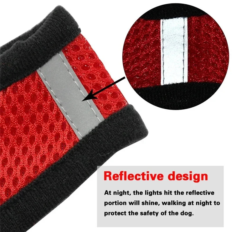 Harnais pour chat, laisse de promenade pour chiots, collier en polyester réglable en maille, accessoires pour animaux de petite et moyenne taille