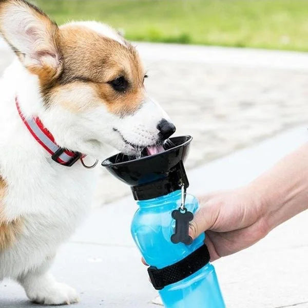 Bouteille d'eau portable de 500 ml pour chiens et chats, idéale pour les voyages. Grande gamelle d'abreuvement pour animaux de compagnie.