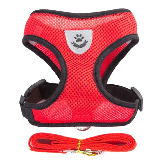 Harnais pour chat, laisse de promenade pour chiots, collier en polyester réglable en maille, accessoires pour animaux de petite et moyenne taille
