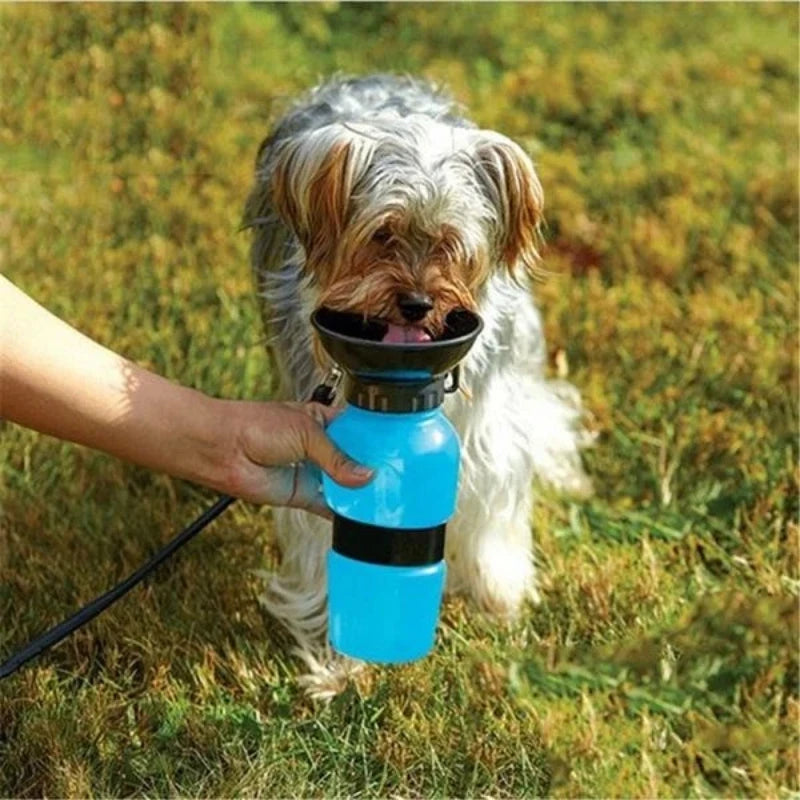 Bouteille d'eau portable de 500 ml pour chiens et chats, idéale pour les voyages. Grande gamelle d'abreuvement pour animaux de compagnie.