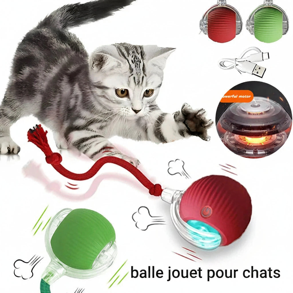 Félinova™ | Balle Interactive Intelligente Pour Chat