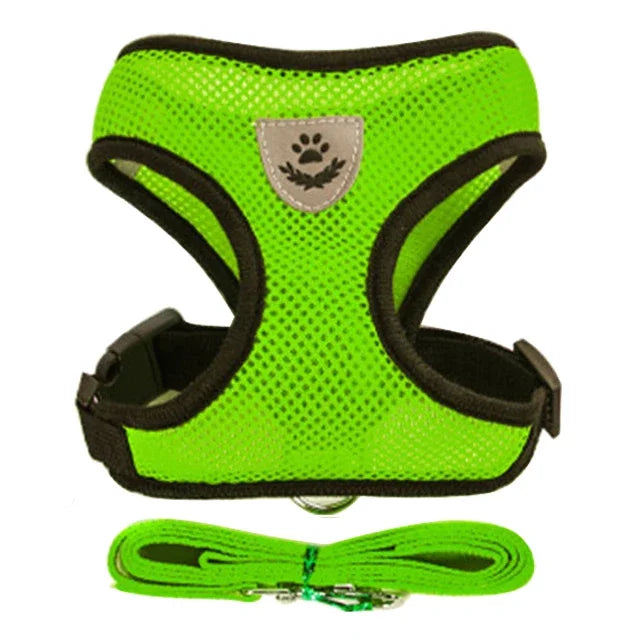 Harnais pour chat, laisse de promenade pour chiots, collier en polyester réglable en maille, accessoires pour animaux de petite et moyenne taille