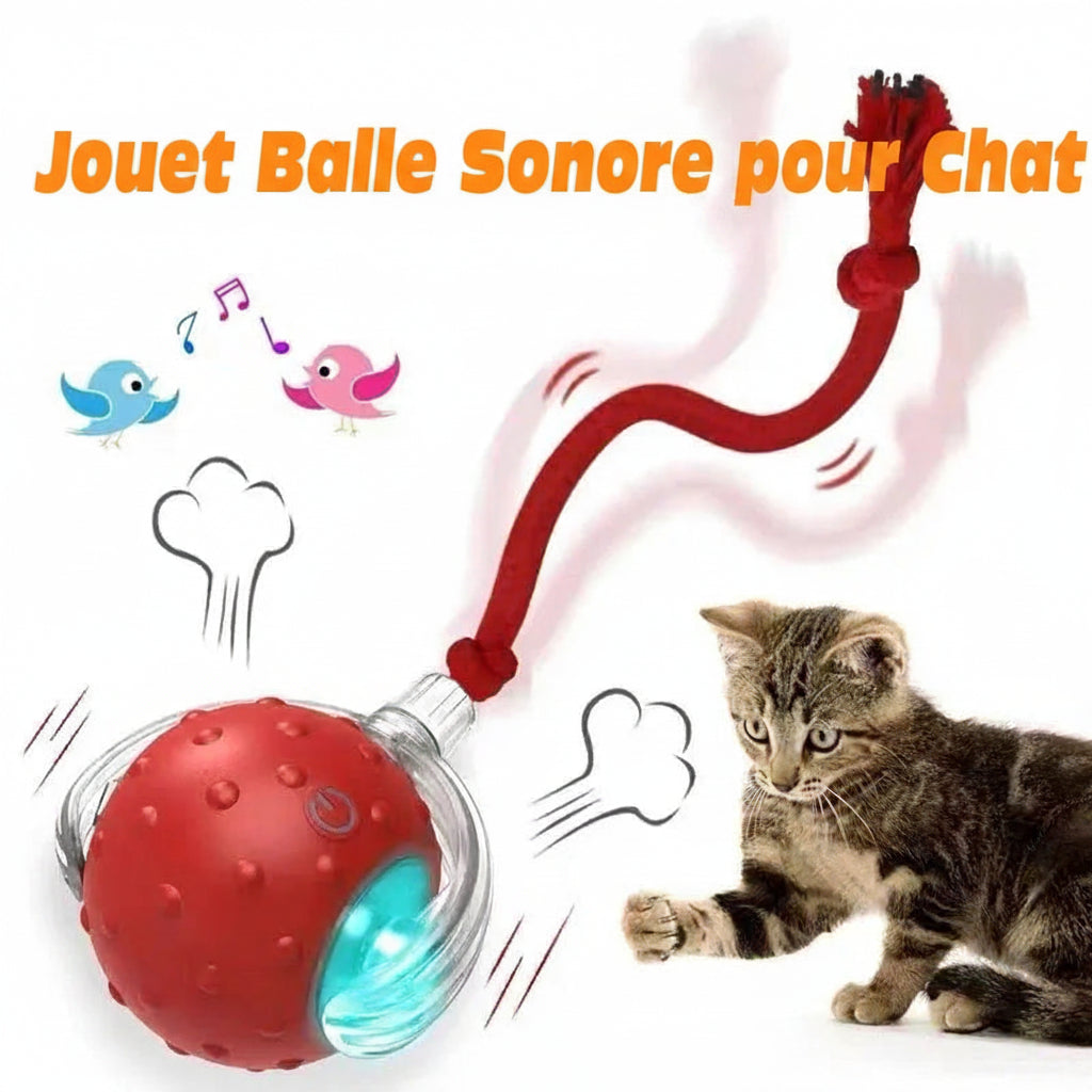 Félinova™ | Balle Interactive Intelligente Pour Chat