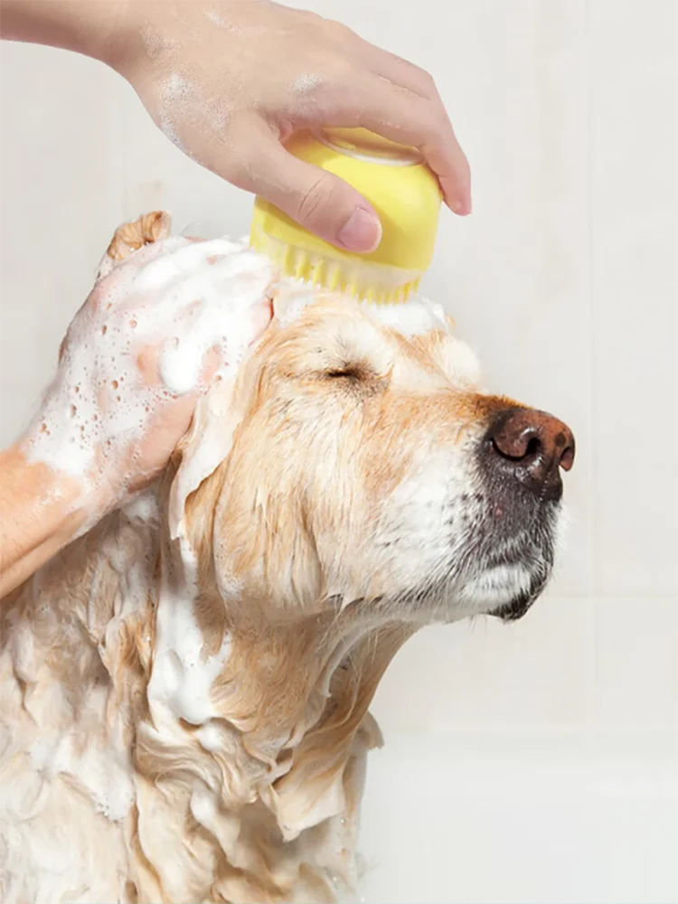 DoucePatte™ | Brosse de Bain Massante