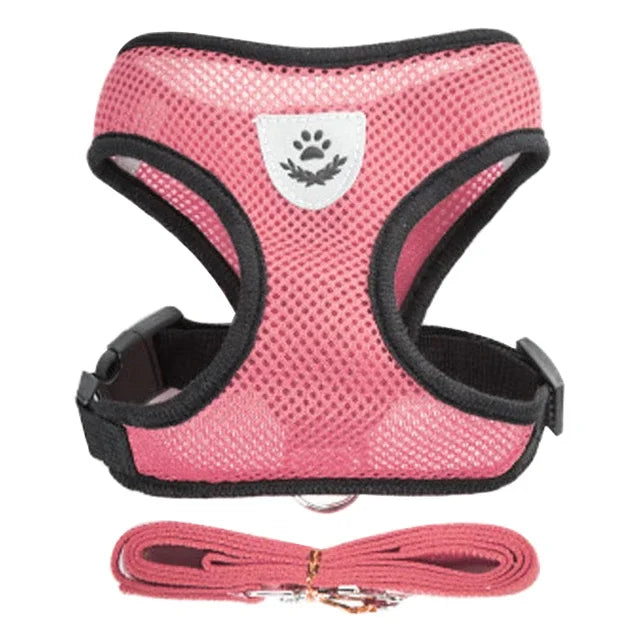 Harnais pour chat, laisse de promenade pour chiots, collier en polyester réglable en maille, accessoires pour animaux de petite et moyenne taille