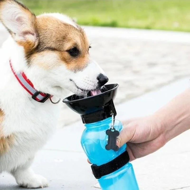 Bouteille d'eau portable de 500 ml pour chiens et chats, idéale pour les voyages. Grande gamelle d'abreuvement pour animaux de compagnie.