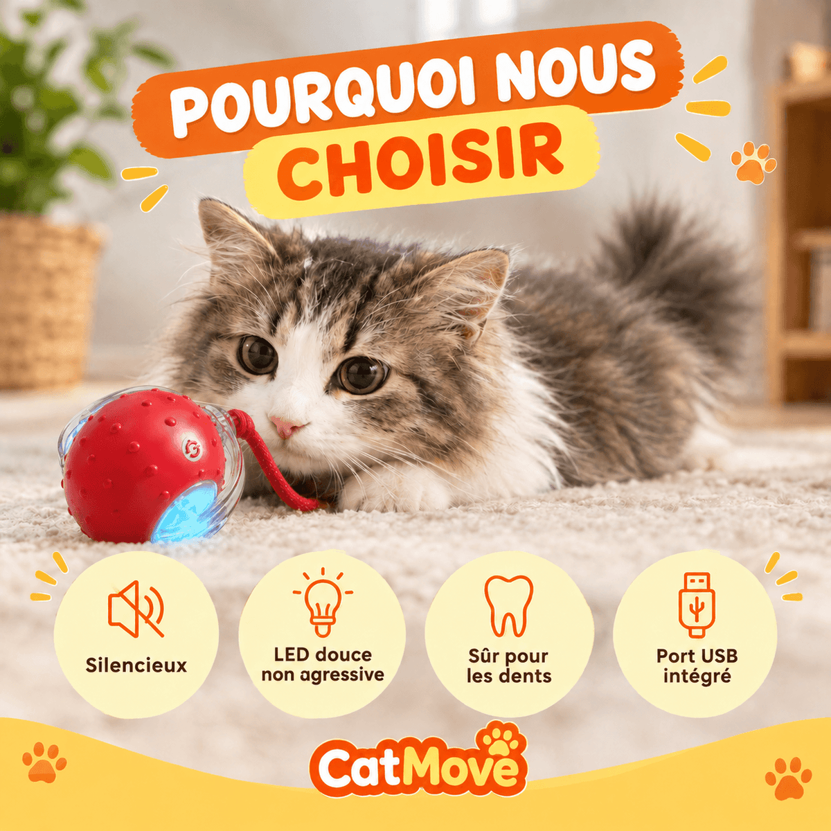 CatMove | Le jeu qui occupe votre chat, même quand vous êtes absent.